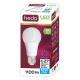  ΛΑΜΠΑ LED ΚΟΙΝΗ Α60 12W E27 COOL