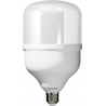  ΛΑΜΠΑ E27 T80 20WATT 4000K