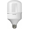  ΛΑΜΠΑ E27 T100 30WATT 4000K