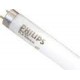 ΛΑΜΠΑ ΦΘΟΡΙΟΥ L18W/865 PHILIPS