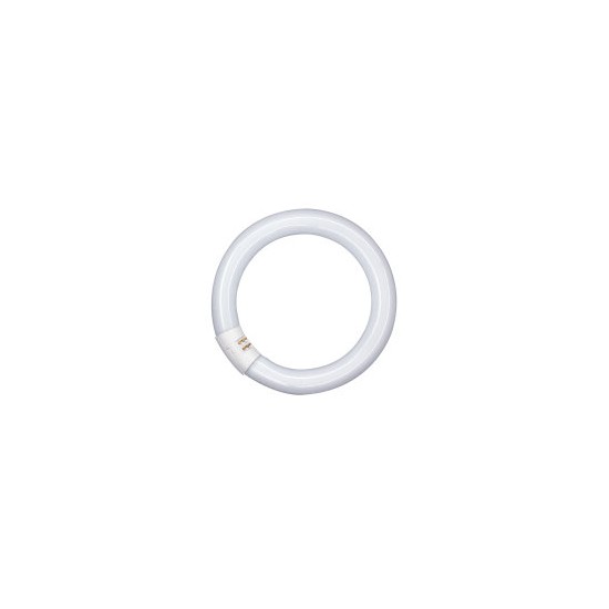  ΛΑΜΠΑ ΦΘΟΡΙΟΥ ΚΥΚΛΙΚΗ Τ9 L 32W/865-C G10q OSRAM