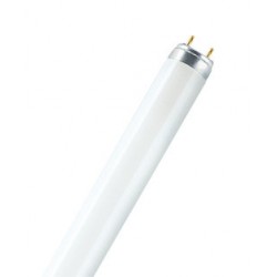  ΛΑΜΠΑ ΦΘΟΡΙΟΥ Τ8  36W/840 COOLWHITE KANDO