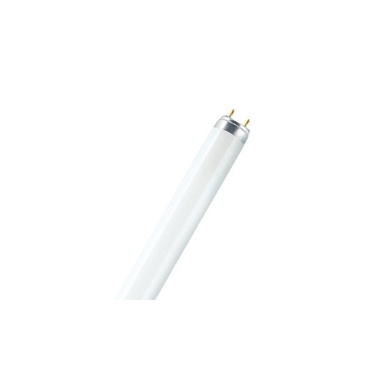  ΛΑΜΠΑ ΦΘΟΡΙΟΥ Τ8  36W/840 COOLWHITE KANDO