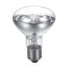  ΛΑΜΠΑ ECO R80 42W E27 EUROLAMP